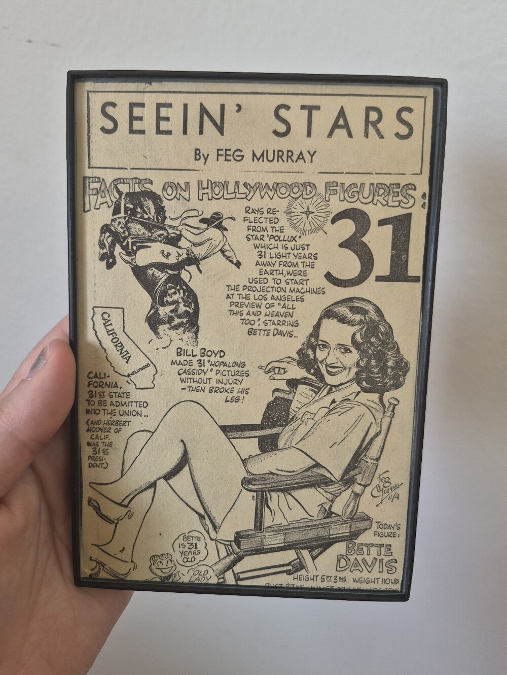 Seein' Stars Framed Clippings - Picture 2 of 9